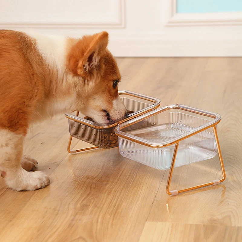 Bol pour animaux main image 0