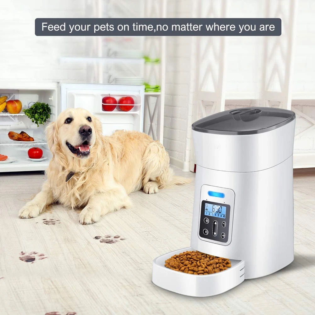 automatic dog food dispenser with timer