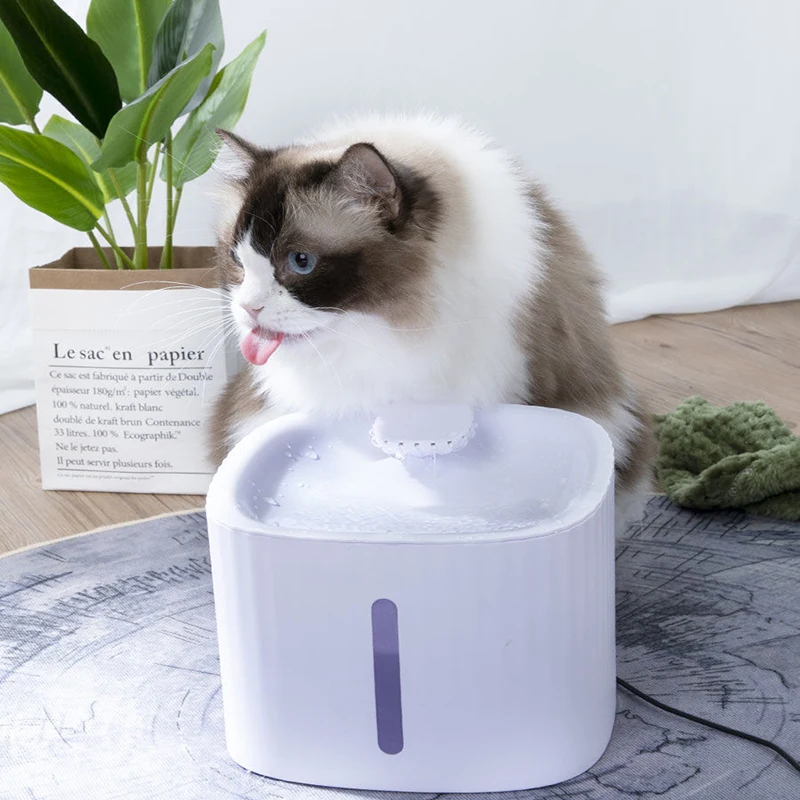 automatic cat water fountain