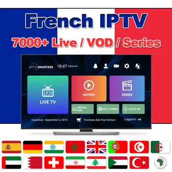 

French IPTV France Belgium IPTV World Arabic IPTV Dutch IPTV Support Android m3u updated to 7000+Live TV and Vod supported