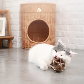 

Cat Catnip Toys Snacks Sticks Cat Chewing Teeth Cleaning Toy Polygonum Ball Toy J8