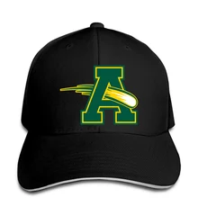Мужская бейсболка Amherst Steele Comets Amherst Comets бейсболка кепка с логотипом Женская кепка