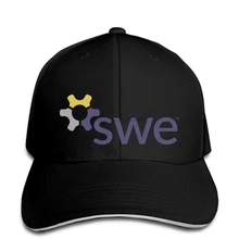 Мужская бейсболка Usf Swe 5k Fun Run society Of women Engineers бейсболка кепка с логотипом Женская кепка