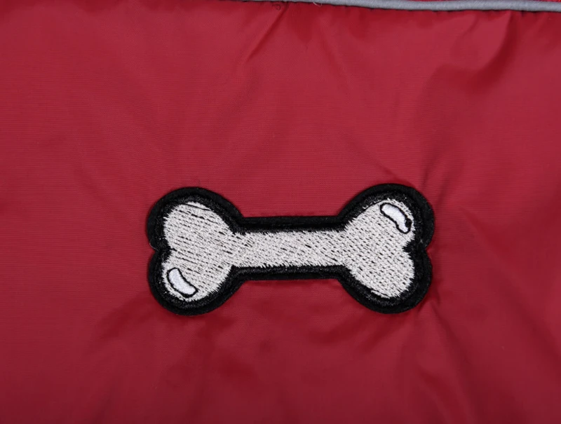 10896492647_1954311762