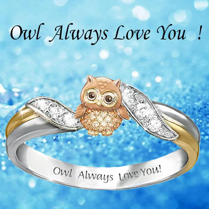 H6bd9b50fee614024850f75da47911491O