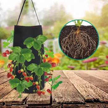 

Potato Strawberry Planter Bags For Growing Potatoes Outdoor Vertical Garden Hanging Open Vegetable Planting Grow Bag