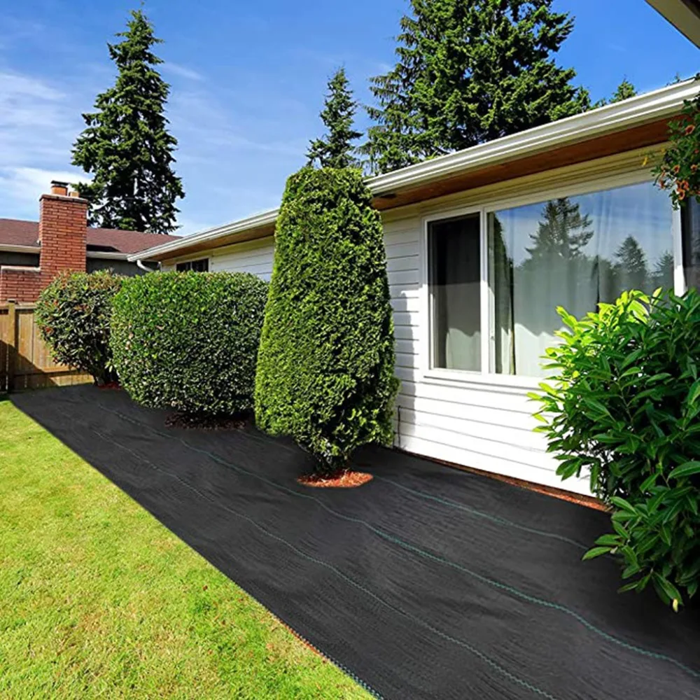 7 - LFY200603206_0241236626234805248