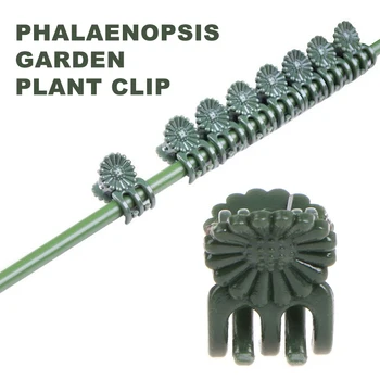 

50Pcs Plastic Phalaenopsis Securing Clip Hanging Easy To Use Flexible Disassembly Vine Plant Support Clips Garden Yard Supplies