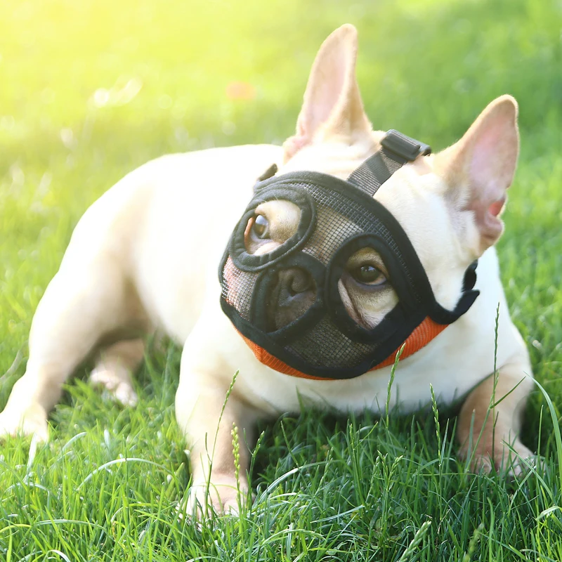 Outdoor Prevent Stealing Biting Dog Muzzle for Dogs Mesh