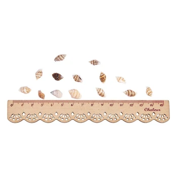 

New About 1300-1500 Tiny Sea Shell Ocean Beach Spiral Seashells Craft Charms 7-12mm for Candle Making,Home Decoration,Beach Them