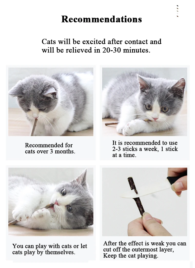 5 шт. игрушка для кошек Жевательная палочка игрушка молярная палочка натуральный молярный корм для небольших домашних животных товары для кошек интерактивные игрушки для кошек