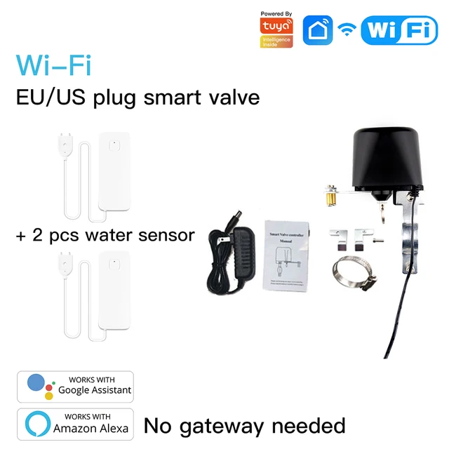 Valve and 2 Sensors-200005536