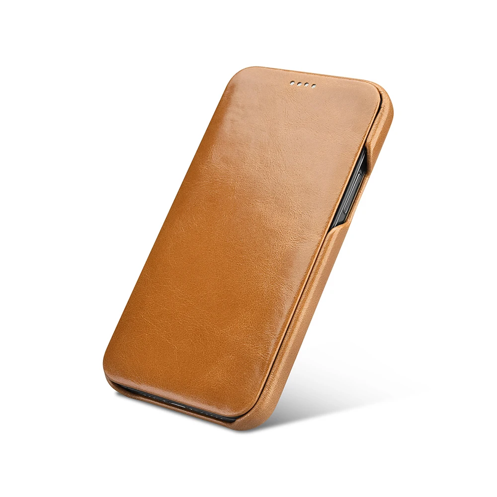 拍摄照片2020-2188082