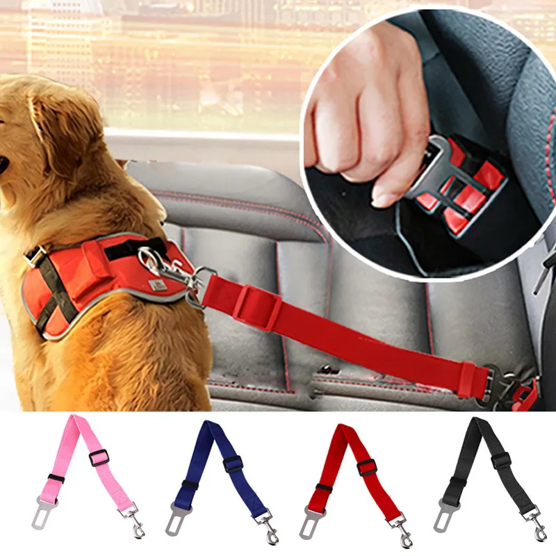 Как закрепить собаку. Собака пристегнутая ремнем безопасности. Dog safety belt skoda. Ремень безопасности для собак. Шлейка для собак для автомобиля.