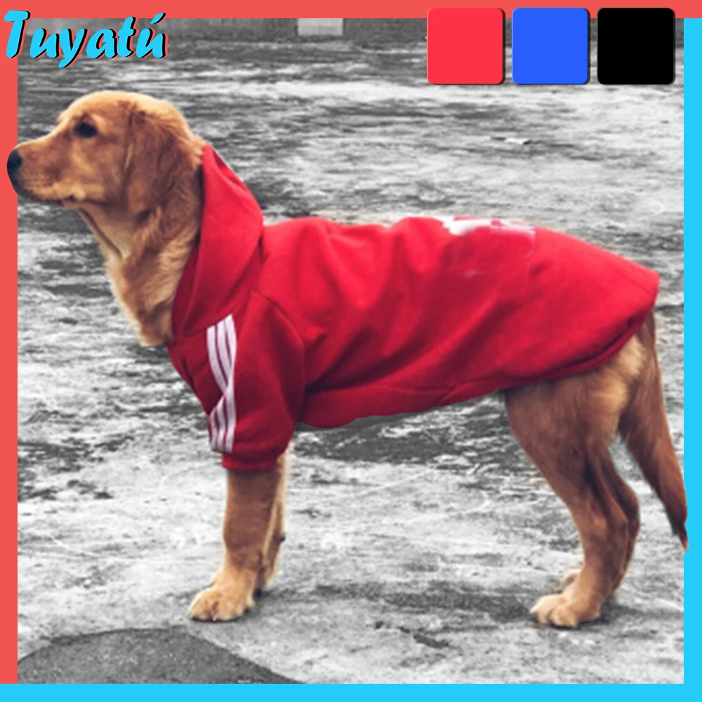 Big dog hoodies Clearance