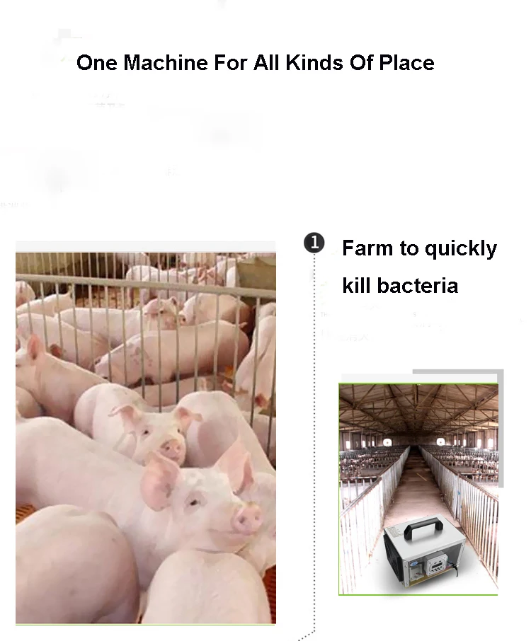 O1CN01gesX6126SmpBKztuZ_!!3876687661