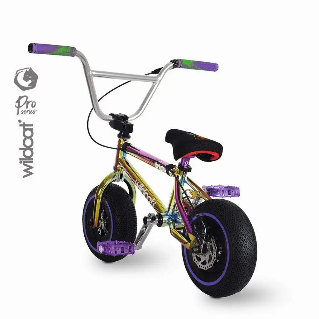 mini bmx bikes under 100 dollars 