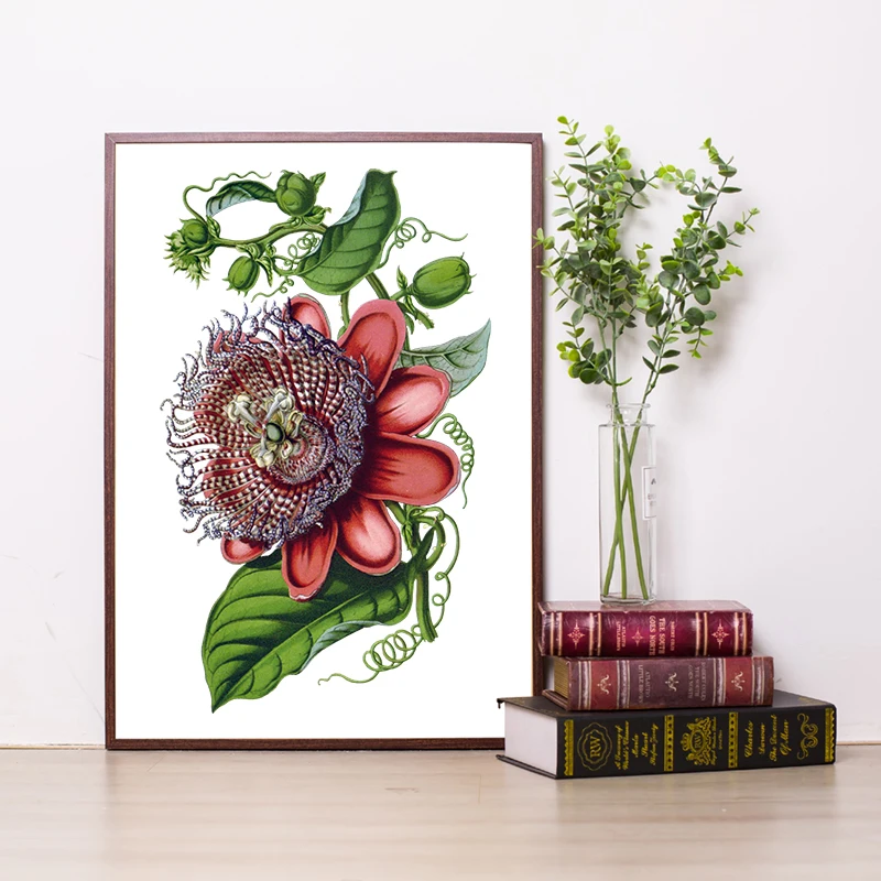 

Giant Passion Flower Print Antique Victorian Botanical Canvas Print Floral Plant Picture Vintage Painting Living Room Wall Decor
