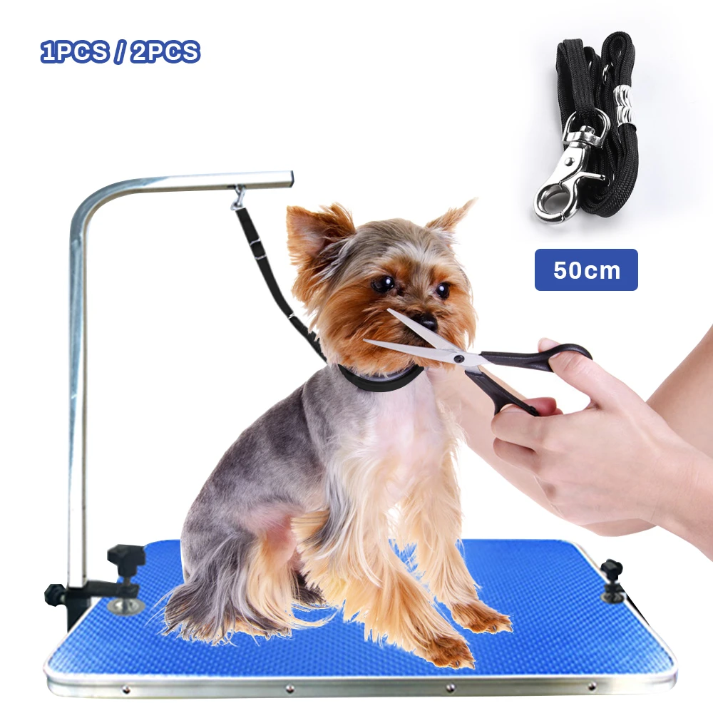 grooming table leash