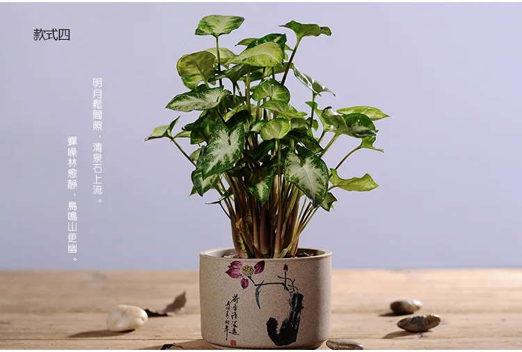 Винтажный керамический мясистый цветочный горшок креативный керамический дышащий садовый горшок для комнатных цветов контейнер