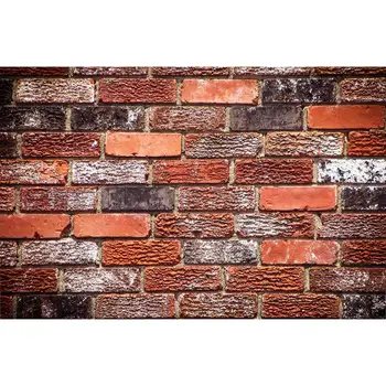 

SHENGYONGBAO Art Fabric Photography Backdrops outdoor+Brick wall Theme Photography Background 200309RG-03