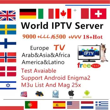 

World Top IPTV USA Portugal Spain Enigma2 Mag Smart World TV Adult Android Tv Box Ssmartt TvPc m3u global no channels include