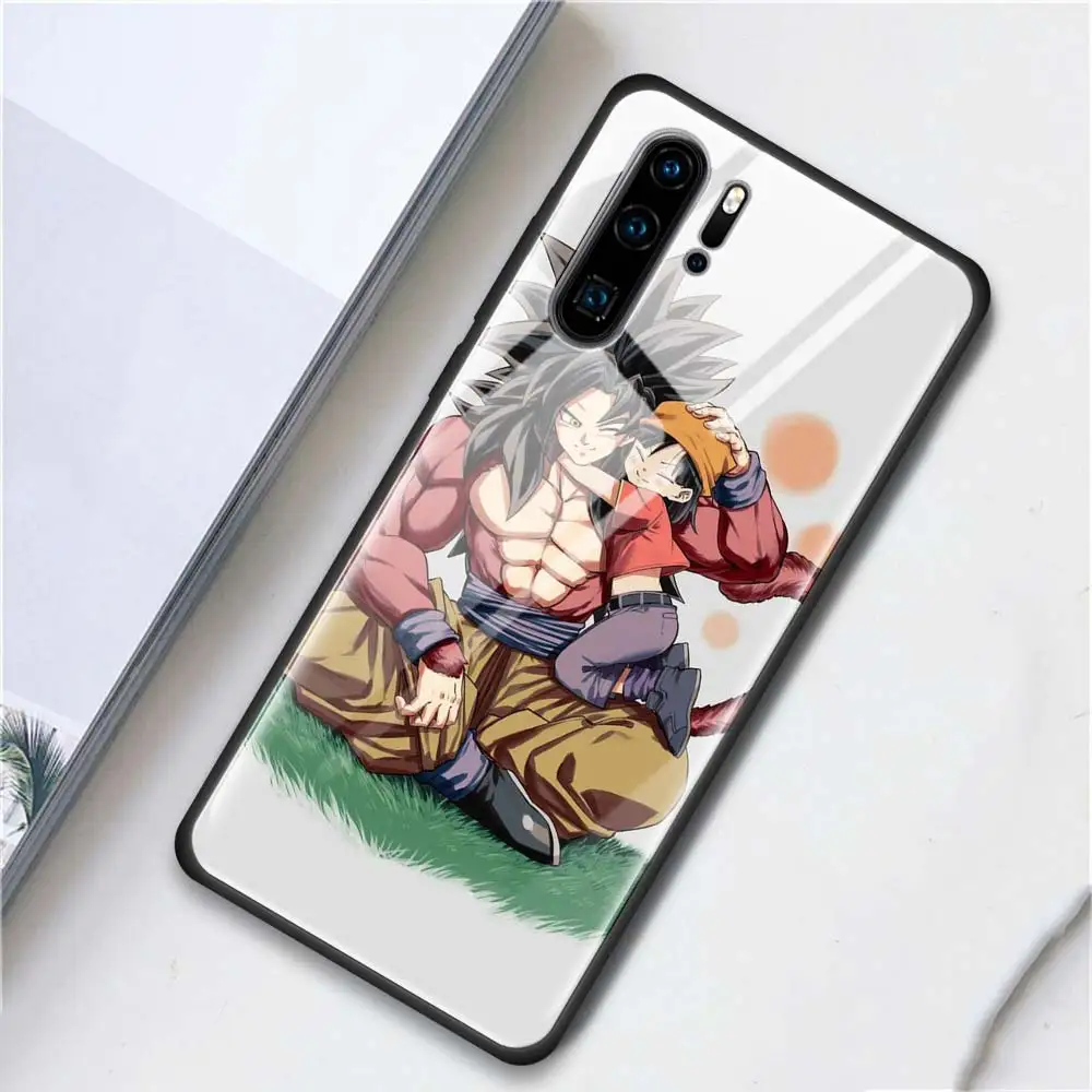 Чехол из закаленного стекла для телефона huawei P10 P20 P30 Lite Pro mate 10 20 Lite Pro, задняя крышка Dragon Ball - Цвет: T03