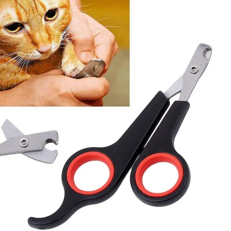 

ABEDOE Small Dog Scissors Cat Puppy Pet Bird Rabbit Ferret Nail Toe Clipper Grooming Claw Cutter Trimmer For Nail Manicure