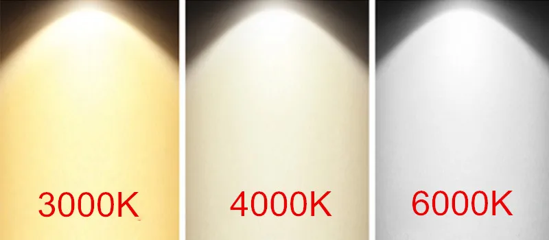 800 x 350 LED Downlight B