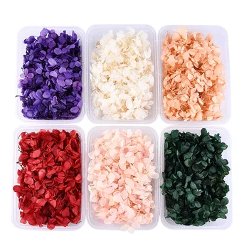 

Beautiful 1 Box Dried Flower Hydrangea Plants Aromatherapy Epoxy Resin Craft DIY Nail Art Decorations Nails Accessories