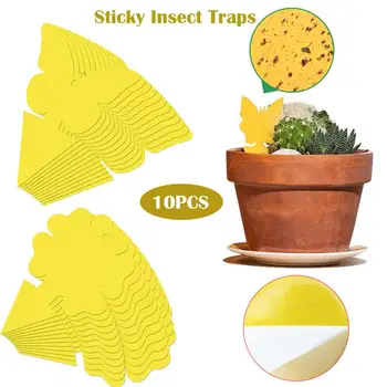 

10pcs Strong Flies Traps Bugs Sticky Board Catching Aphid Insects Killer Pest Control Whitefly Thrip Leafminer Glue Sticker