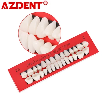 

Azdent Dental Material Plastic Teeth Teaching Model Dedicated Teeth Dental Material Useful Teeth Care Tool Full denture A2