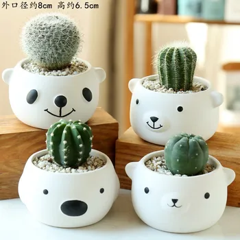 

Cartoon Succulent Ceramic Flower Pot Breathable Stoneware Creative Indoor Succulent Plant Small Flower Pot 4 Piece Set Pots