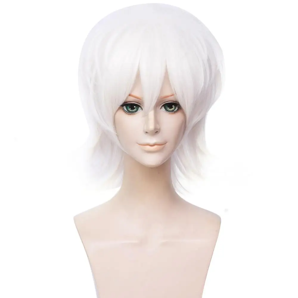 

(Alice-Wig 176) Heat Resistant Fiber Hairpiece Synthetic Hair Wig Anime Fortune Quest Accelerator Cosplay Wig