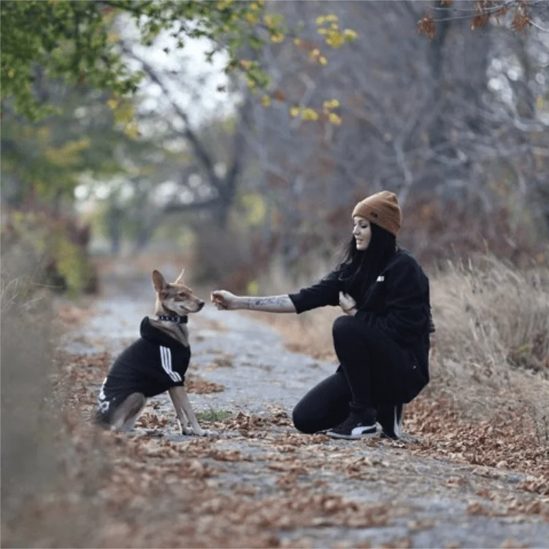 XS-9XL adidog roupas para cães de estimação para pequeno médio grande cães de algodão com capuz moletom venda quente quente two-legged animais jaqueta