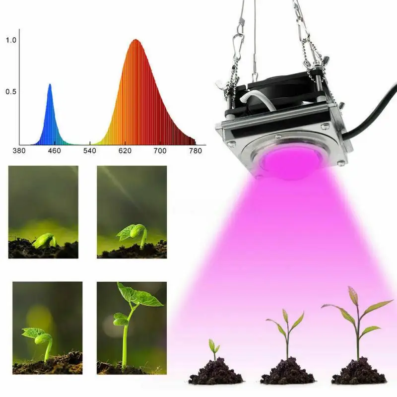 Светодиодный светильник для выращивания растений, 50 Вт, полный спектр COB, фито-лампа для комнатных садовых растений, цветов, гидропоники, теплицы, светильник для роста
