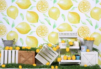 

HUAYI Lemon Theme Photography Retro Boxes Decorations Backdrop For Taking Photo Of Baby Shower Photoshoot Prop Banners W-4382