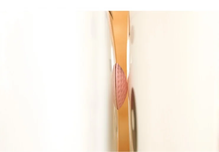 3090684903_922139211