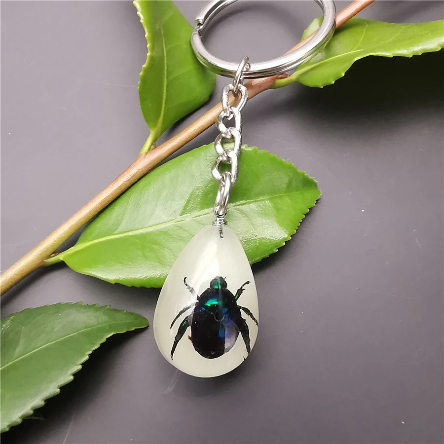 10pcs Scorpion Crab Keychain Glow in the Dark Real Insect Keychain Beetle Keychains for MenKey Ring Specimens Collecting Trinket