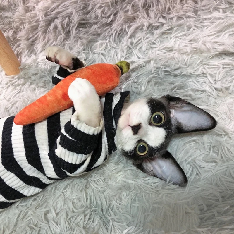 Cute Cat Clothes Sphinx Striped Bottoming Shirt Kittens Vest For
