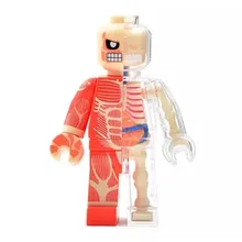 4D мастер-артист Джейсон Фрей образовательный собран Мода-кирпичи люди прозрачный скелетный анатомия