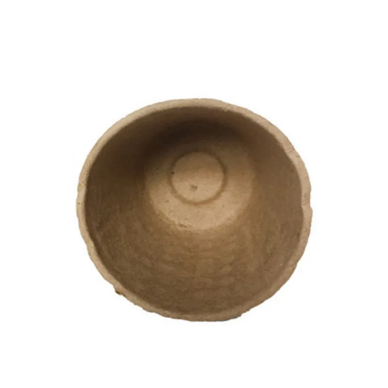 WD1747B (2)