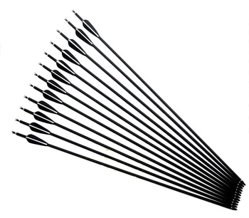 

30'' Archery Carbon Target Arrows Hunting Arrows with 2 Black 1 White Feather for Archery Hunting Shooting