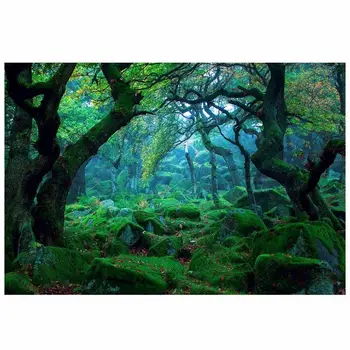 

3*5ft Green Jungle Forest Photography Backdrop Studio Props Photo Background