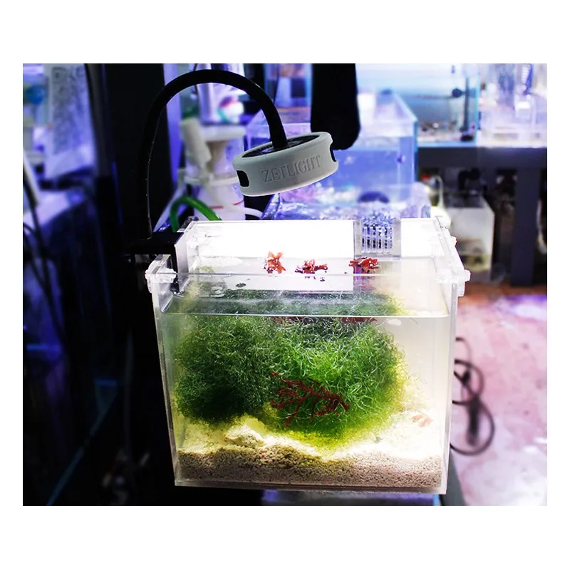 zetlight-e100-cob-white-led-light-for-macroalgae (2)