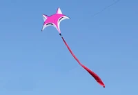 New Arrival High Quality  Outdoor Fun Sports  Fox Kite  good   Flying 2