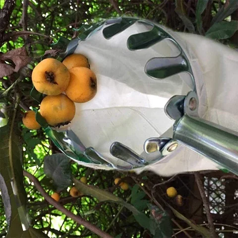 Fruit Picker Head Basket Portable Fruits Catcher for Harvest Picking Citrus Pear 2022 2