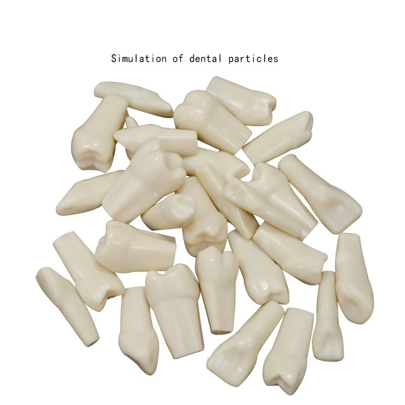 

28 pcs High Quality Simulation Tooth Grain Resin Simulation Tooth Grain Dental Tooth Model For Dentist Exam Preparation Teaching