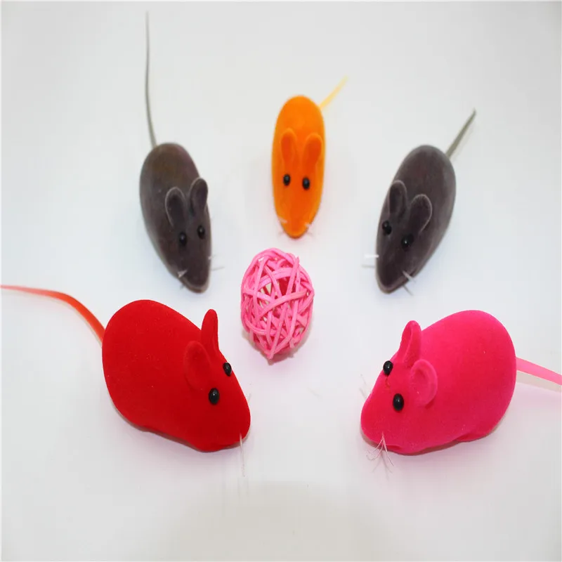 8685958851_745673911