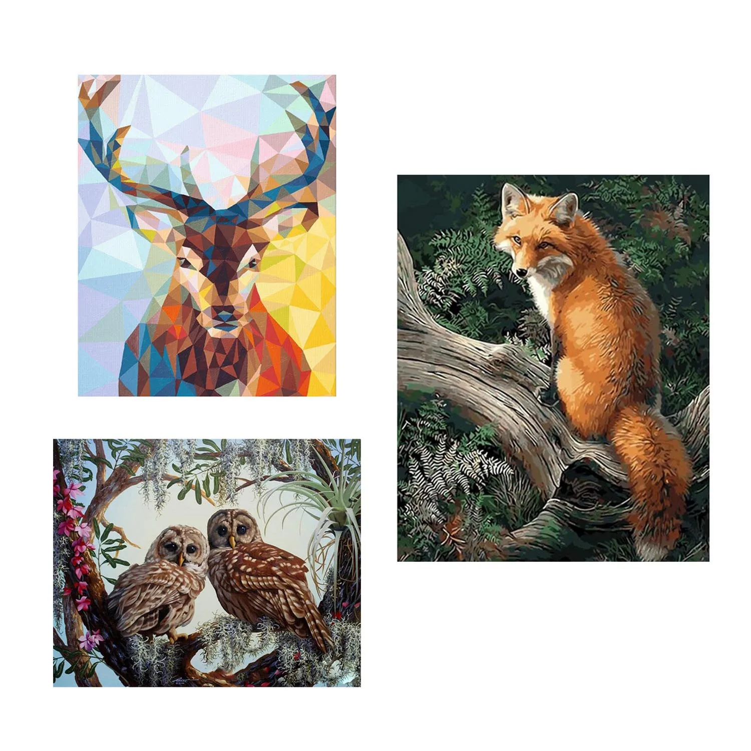 

Animal DIY Oil Painting by Number Kit Frameless Digital Paint Canvas Brushes for Adults Kids Beginner 40 x 50cm